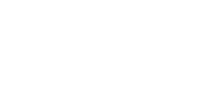 Agenzia Moriccioni s.r.l.