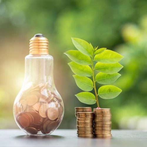 Energy saving. stacks of coins growing in light bulb and tree growing on stacks of coins and tree nature background. Saving, Natural energy and financial concept.